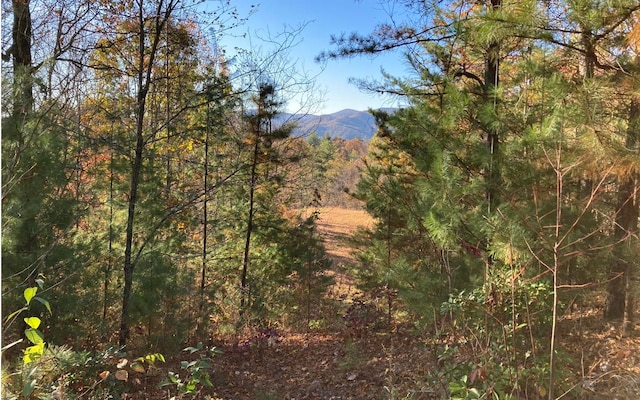 4.62ACR Horton Rd, Murphy NC, 28906 land for sale