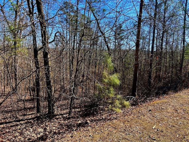 Listing photo 3 for 32 Harris Creek Dr, Ellijay GA 30540