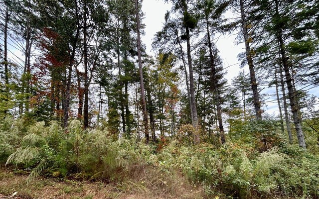 LOT133 Jumper Dr, Ellijay, GA 30540