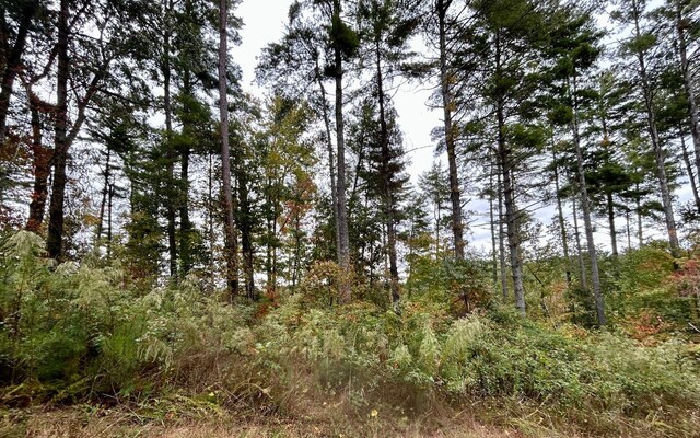 LOT133 Jumper Dr, Ellijay, GA 30540