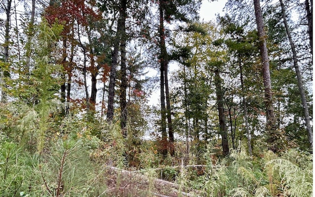 LOT133 Jumper Dr, Ellijay, GA 30540