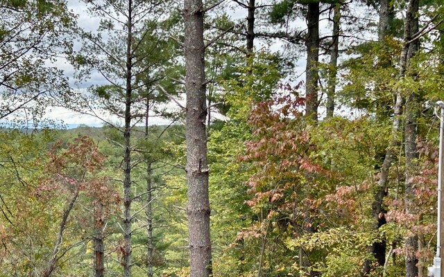 LOT133 Jumper Dr, Ellijay, GA 30540