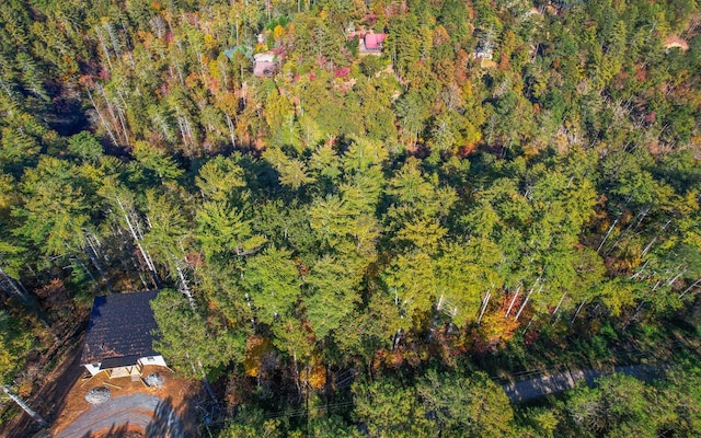 LOT133 Jumper Dr, Ellijay, GA 30540