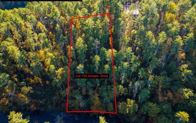 LOT133 Jumper Dr, Ellijay, GA 30540