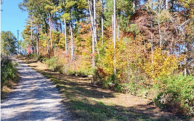 Listing photo 3 for LOT133 Jumper Dr, Ellijay GA 30540