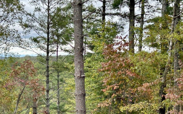 LOT133 Jumper Dr, Ellijay, GA 30540