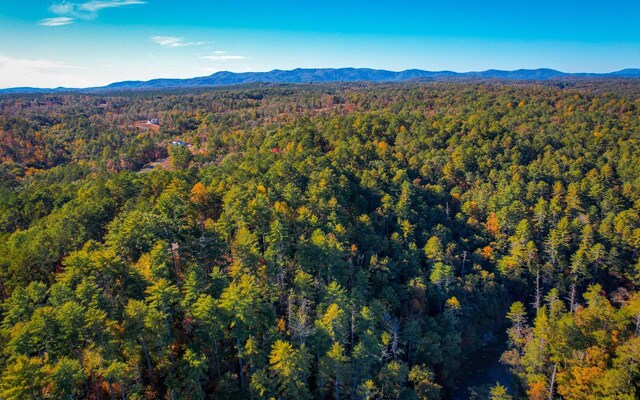 LOT133 Jumper Dr, Ellijay, GA 30540