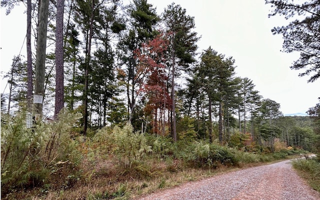 LOT133 Jumper Dr, Ellijay, GA 30540