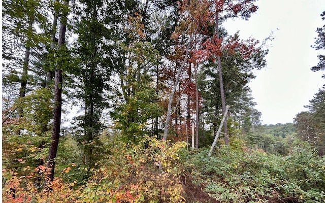 LOT133 Jumper Dr, Ellijay, GA 30540