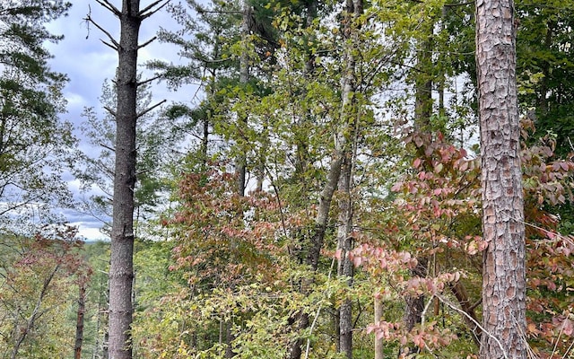LOT133 Jumper Dr, Ellijay, GA 30540
