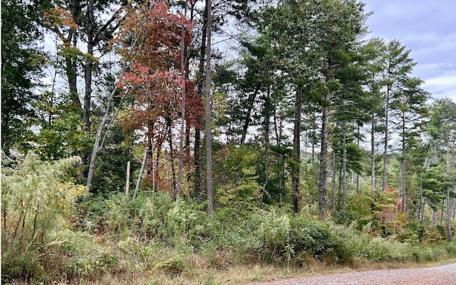 LOT133 Jumper Dr, Ellijay, GA 30540