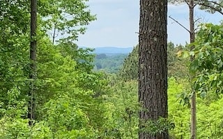 Listing photo 2 for LT21 Loftis Mountain Rd, Blairsville GA 30512