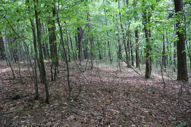 0 Parksbrook Rd, Ellijay GA, 30540 land for sale