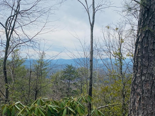 LOT46 Ridge View Dr, Andrews NC, 28901 land for sale