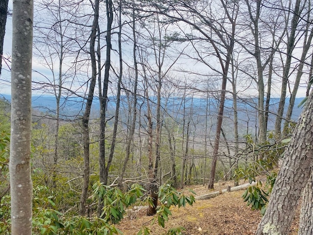 Listing photo 2 for LOT46 Ridge View Dr, Andrews NC 28901