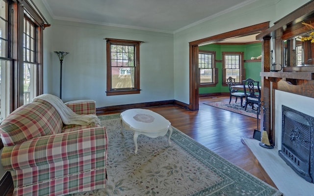 living room featuring crown molding, baseboards, wood finished floors, and a fireplace