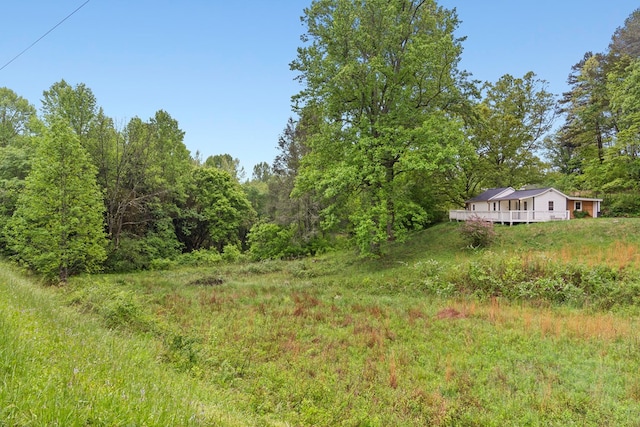 view of yard featuring a deck and a wooded view