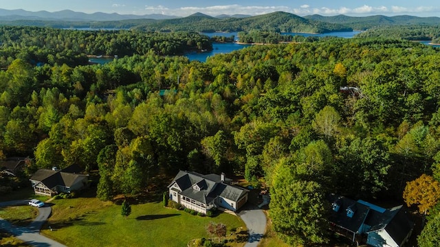 birds eye view of property featuring a water and mountain view