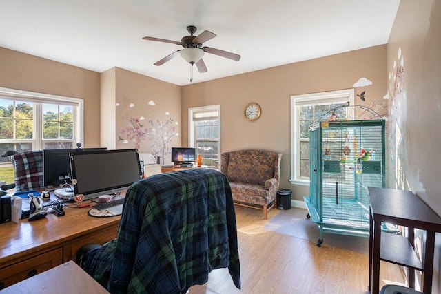 office with ceiling fan, light hardwood / wood-style floors, and a healthy amount of sunlight