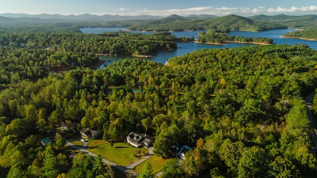 aerial view featuring a water and mountain view