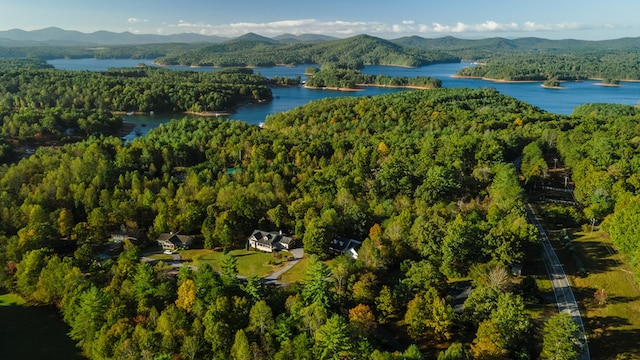 bird's eye view featuring a water and mountain view