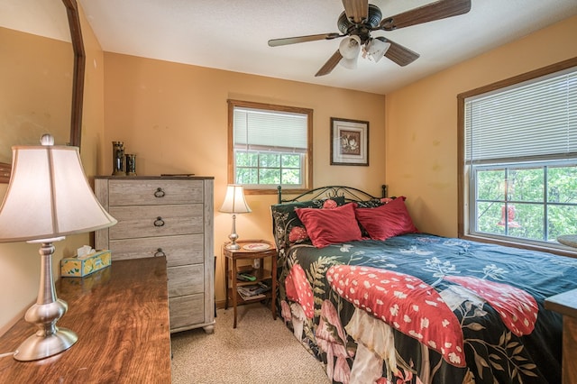 243 Havenwood Ln, Murphy, NC 28906 - bedroom featuring carpet floors and ceiling fan