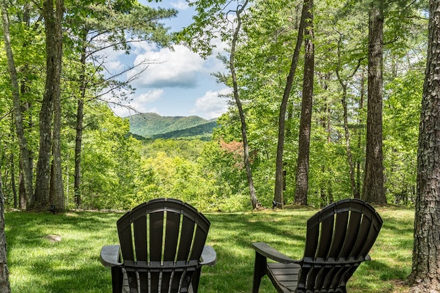 243 Havenwood Ln, Murphy, NC 28906 - view of green lawn with a forest view