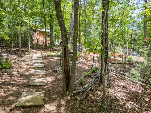 243 Havenwood Ln, Murphy, NC 28906 - view of yard