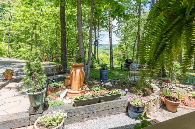 243 Havenwood Ln, Murphy, NC 28906 - view of yard