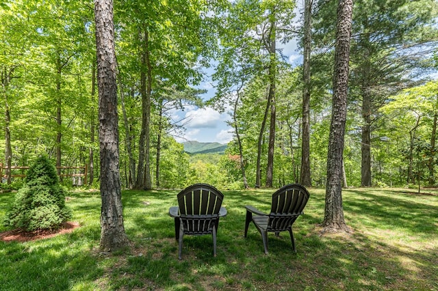 243 Havenwood Ln, Murphy, NC 28906 - view of grassy yard featuring a forest view