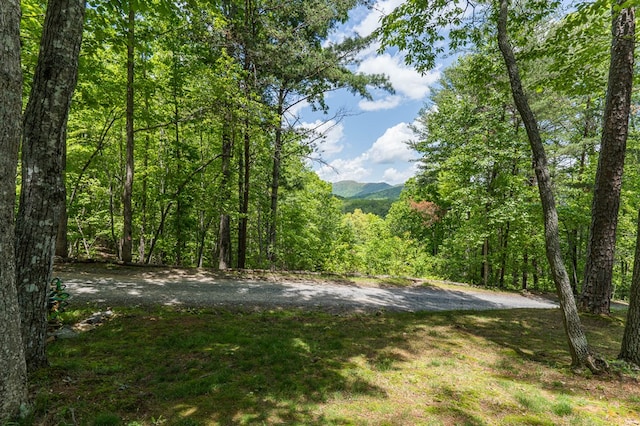243 Havenwood Ln, Murphy, NC 28906 - view of yard featuring a wooded view
