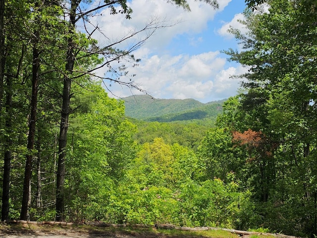 243 Havenwood Ln, Murphy, NC 28906 - view of mountain backdrop with a forest