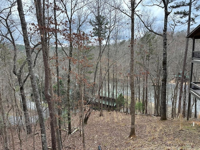 0 Dawn Ct, Ellijay GA, 30540 land for sale