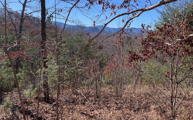 111 Four Seasons Lndg, Blairsville GA, 30512 land for sale