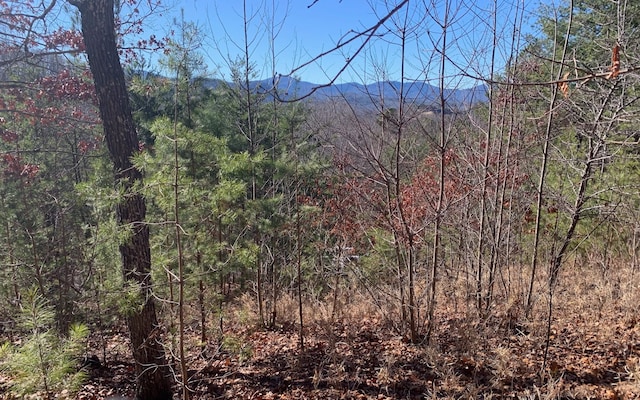 Listing photo 2 for 111 Four Seasons Lndg, Blairsville GA 30512