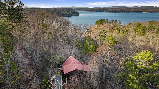 drone / aerial view with a forest view and a water and mountain view