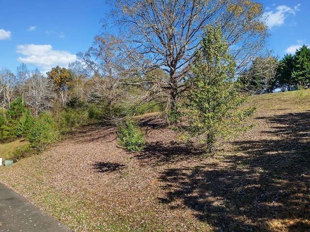 Listing photo 2 for LOT113 Oak Valley Ct, Ellijay GA 30540