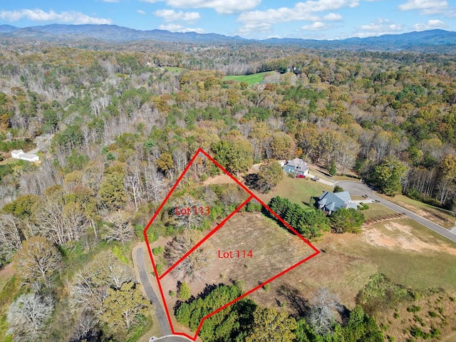 Listing photo 3 for LOT113 Oak Valley Ct, Ellijay GA 30540