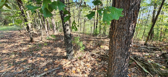 Listing photo 2 for LOT1699 Shade Tree Dr, Talking Rock GA 30175