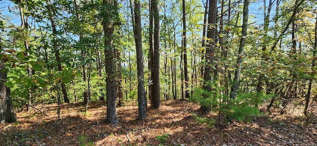 Listing photo 3 for LOT1699 Shade Tree Dr, Talking Rock GA 30175