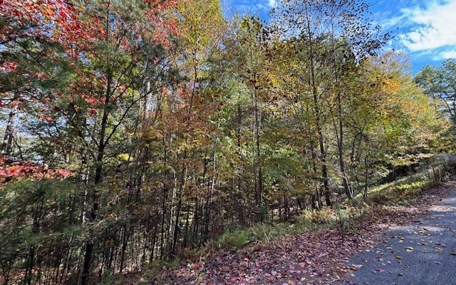 LT56, 57 Hemlock Hts, Suches, GA 30572