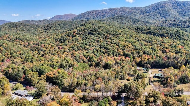 0 Whitepath Springs Rd, Ellijay, GA 30540