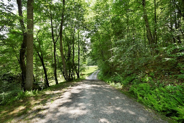 49 Hampton Ln, Hayesville, NC 28904 - view of street with a wooded view