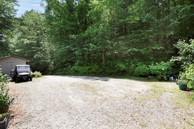 49 Hampton Ln, Hayesville, NC 28904 - view of dirt / gravel road with a forest view