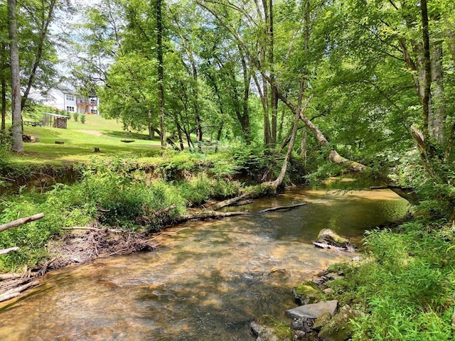 view of local wilderness