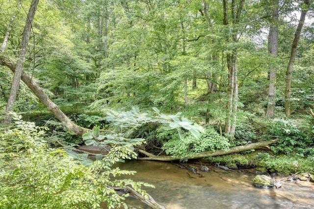 view of landscape