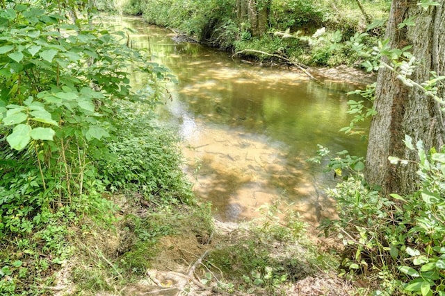 view of landscape featuring a water view