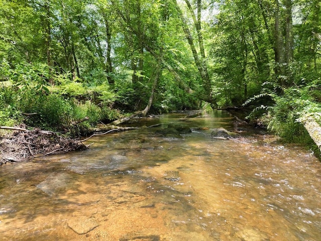 view of local wilderness