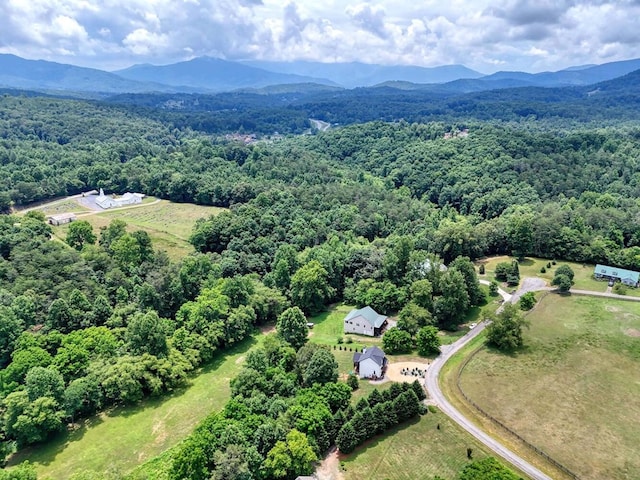 bird's eye view featuring a mountain view