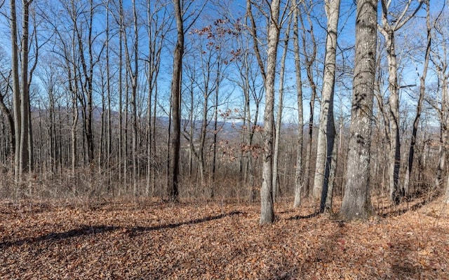 LT24 Rocky Knob Ests, Young Harris GA, 30582 land for sale